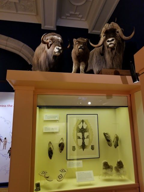 Peary-MacMillan Arctic Museum